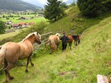 DSCN4396