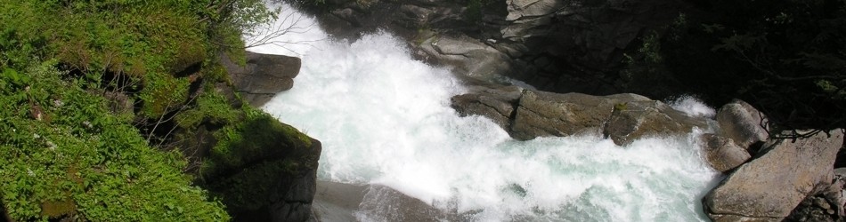 DSCN1278