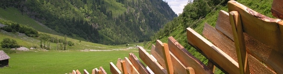 DSCN1321