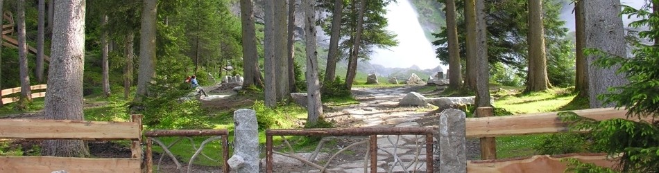DSCN1500