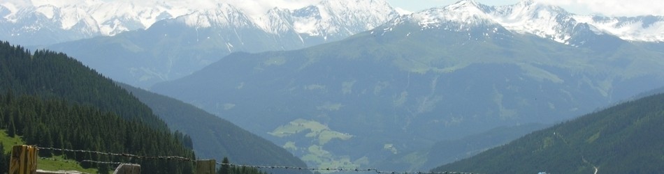 DSCN1755