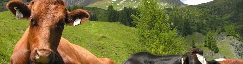 DSCN1781
