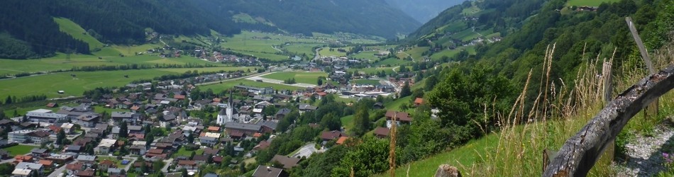 P1000087
